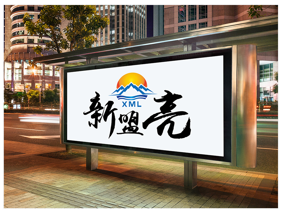 《新盟亮》LOGO设计案例